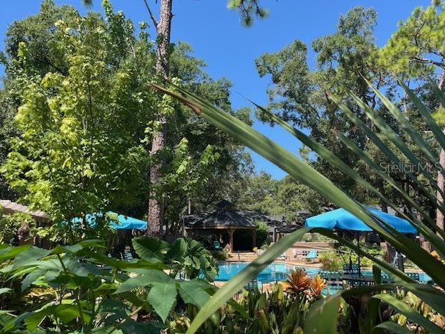 940 DOUGLAS AVENUE 165, Altamonte Springs, FL 32714