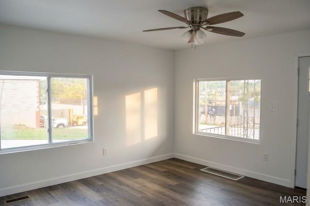 1019 Vine Street, Festus, MO 63028