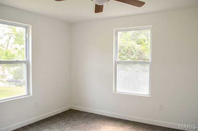 1019 Vine Street, Festus, MO 63028