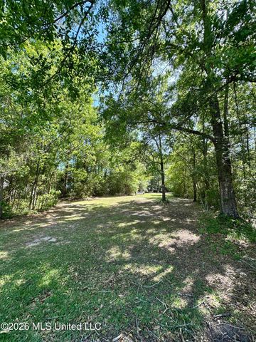 Dead River Road, Gautier, MS 39553