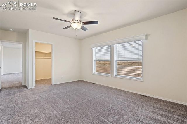 7243 Halex Grove, Colorado Springs, CO 80928