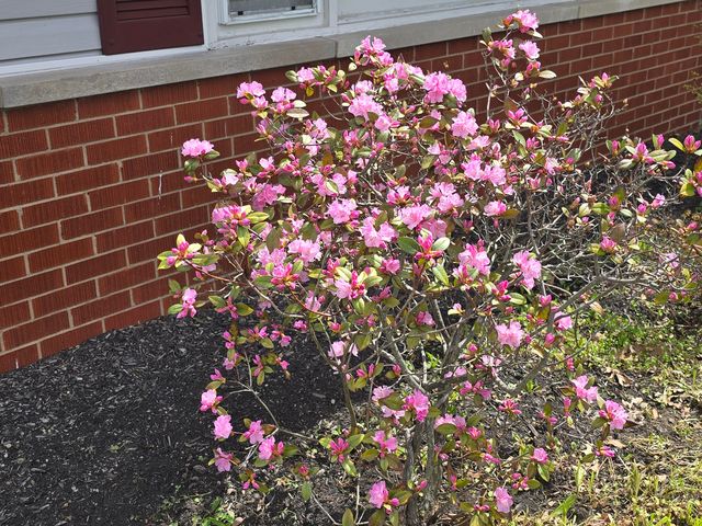 3970 Dixie HWY, Dry Ridge, KY 41035