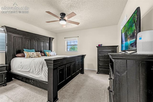 3955 Ayers Drive, Colorado Springs, CO 80920