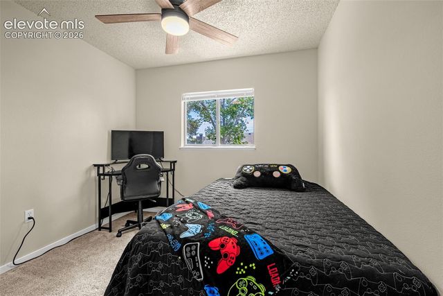 3955 Ayers Drive, Colorado Springs, CO 80920