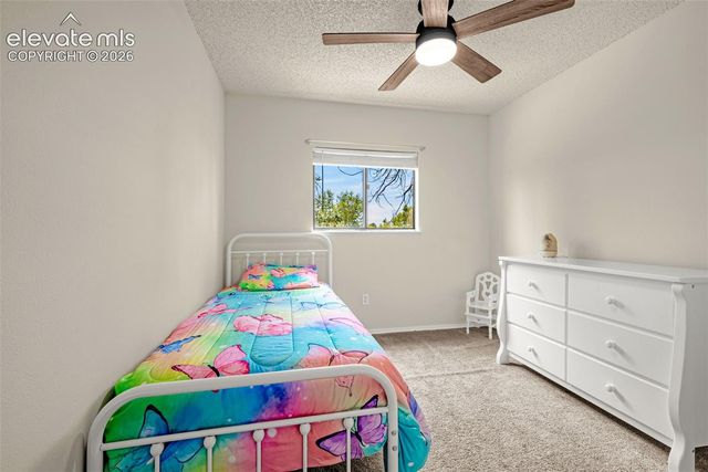 3955 Ayers Drive, Colorado Springs, CO 80920
