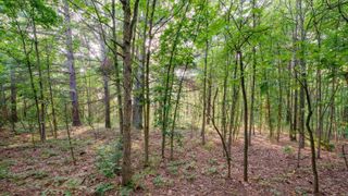 0 158th Avenue, West Olive, MI 49460