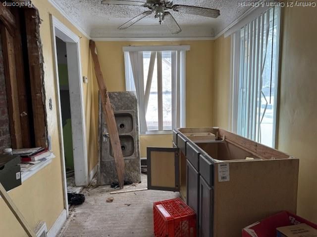 16166 W Parkway Street, Detroit, MI 48219