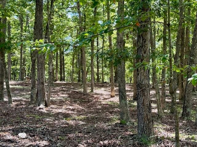 16444 Freedom Road, Willow Springs, MO 65793