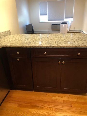 1105 Lexington Street 9, Waltham, MA 02452