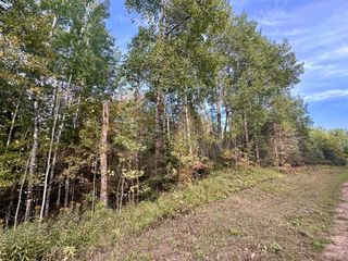 TBD Old Vermillion Trail, Gnesen Twp, MN 55803