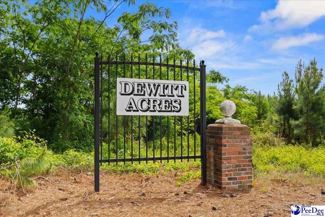 2818 Gray Dr, Darlington, SC 29532