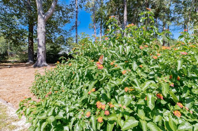 5400 Belle Mead Drive, Aiken, SC 29803