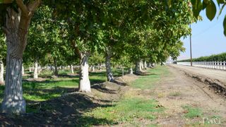 Ave 168, Tulare, CA 93274