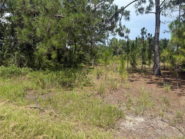 LOCUST CRS, Ocala, FL 34472