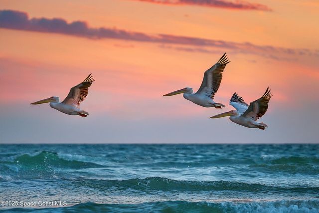 1948 Barkley Avenue, Melbourne, FL 32935