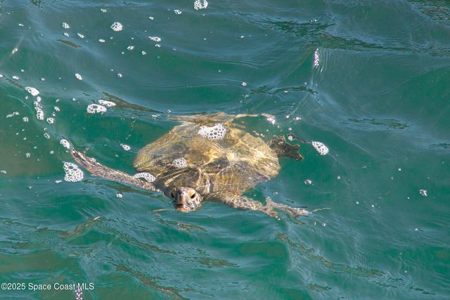 1948 Barkley Avenue, Melbourne, FL 32935