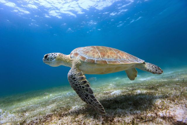 1948 Barkley Avenue, Melbourne, FL 32935