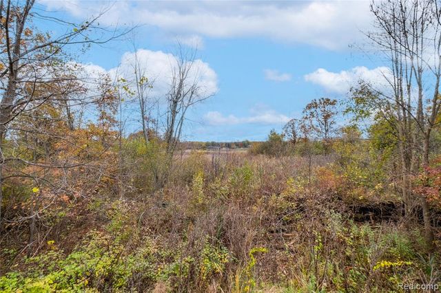 1023 Old Leake Court, Holly, MI 48442