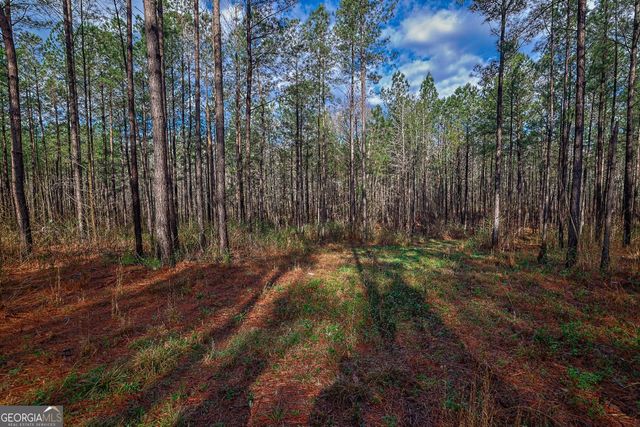 0 Highway 22 Highway N, Sparta, GA 31087