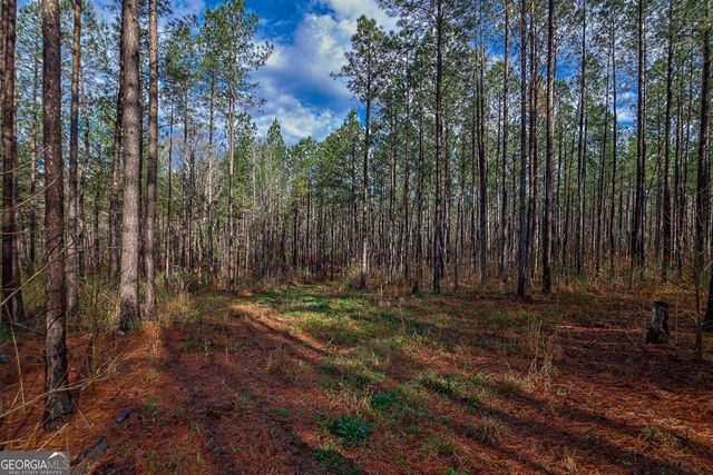 0 Highway 22 Highway N, Sparta, GA 31087