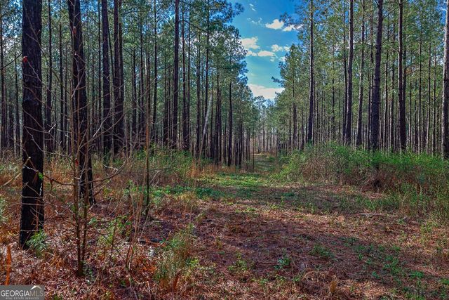 0 Highway 22 Highway N, Sparta, GA 31087