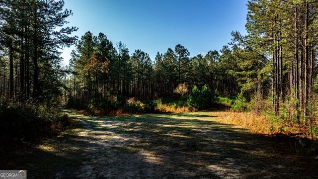 0 Highway 22 Highway N, Sparta, GA 31087