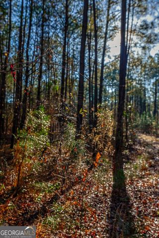 0 Highway 22 Highway N, Sparta, GA 31087