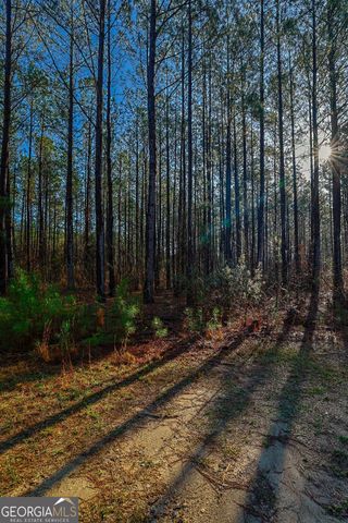 0 Highway 22 Highway N, Sparta, GA 31087