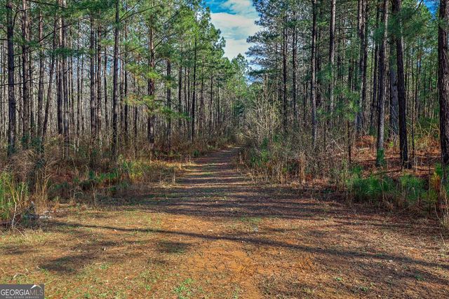 0 Highway 22 Highway N, Sparta, GA 31087