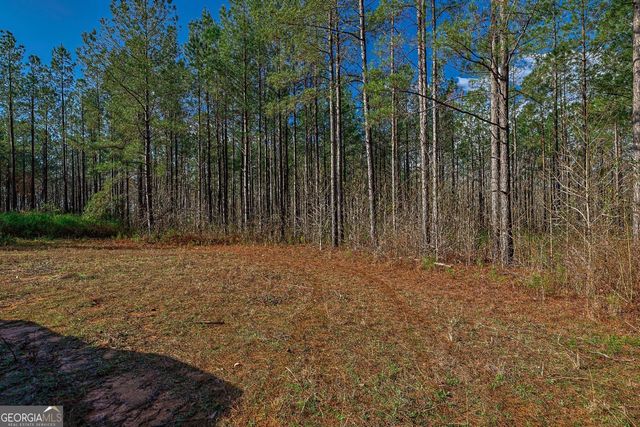 0 Highway 22 Highway N, Sparta, GA 31087