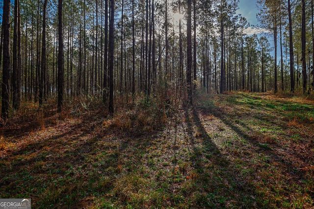 0 Highway 22 Highway N, Sparta, GA 31087