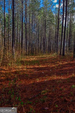 0 Highway 22 Highway N, Sparta, GA 31087