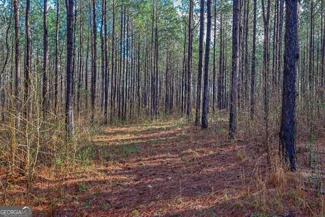 0 Highway 22 Highway N, Sparta, GA 31087