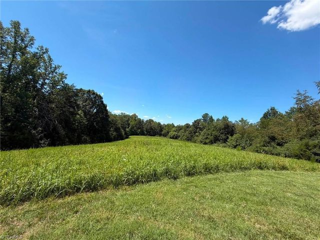 1207 Grassy Creek Road, Pinnacle, NC 27043