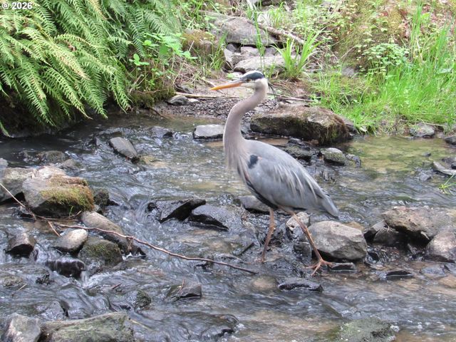 310 Nw 116TH Ave 105, Portland, OR 97229