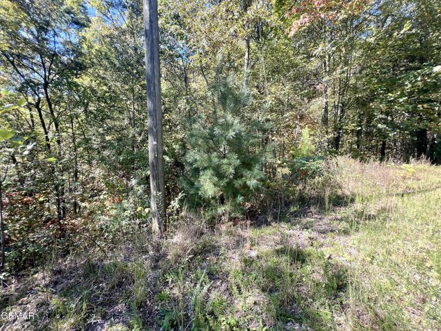 6 Creek Hollow Way, Sevierville, TN 37876