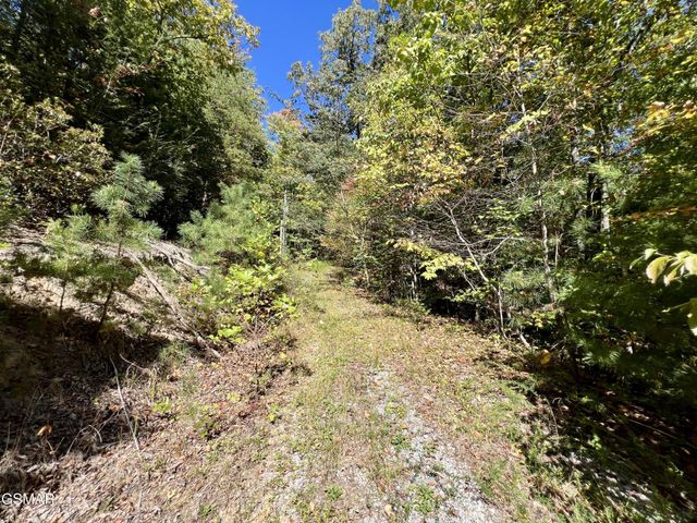 6 Creek Hollow Way, Sevierville, TN 37876