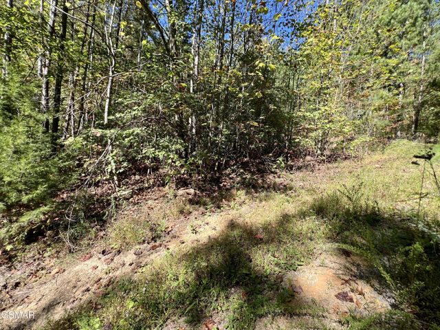 6 Creek Hollow Way, Sevierville, TN 37876