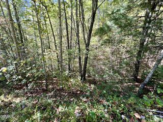 6 Creek Hollow Way, Sevierville, TN 37876