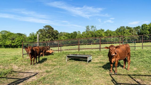 2355 Jackson League Circle, Brenham, TX 77833