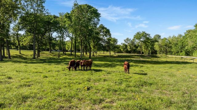 2355 Jackson League Circle, Brenham, TX 77833