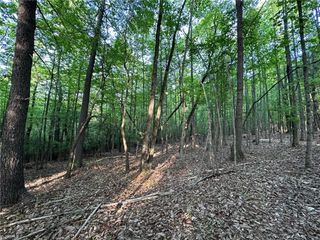 00 Wiley Royal Road, Traphill, NC 28685