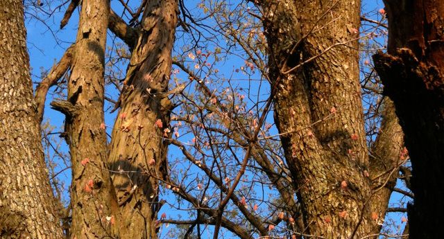 26366 N FARWELL Road, Mettawa, IL 60045