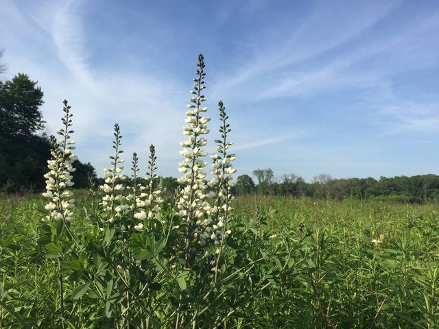 26366 N FARWELL Road, Mettawa, IL 60045