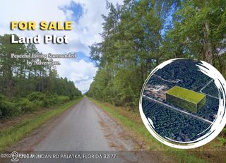 362 MILLICAN Road, Palatka, FL 32177