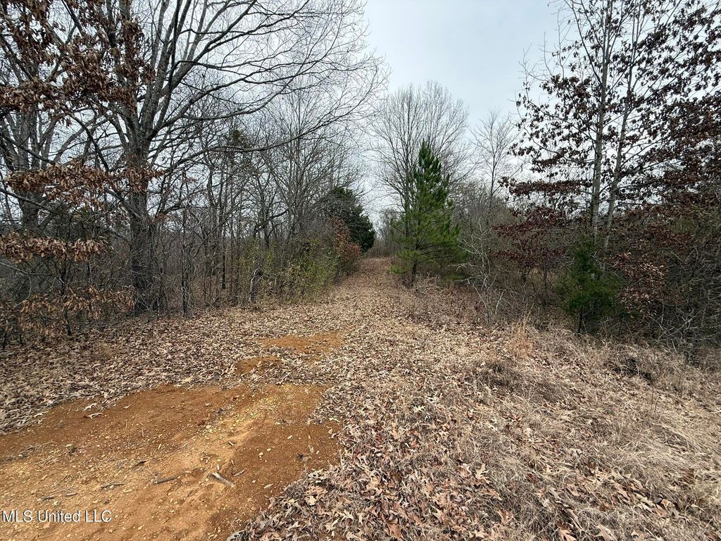 15 Polk Lane, Olive Branch, MS 38654 — photo 2