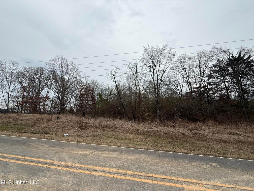 15 Polk Lane, Olive Branch, MS 38654 — photo 3