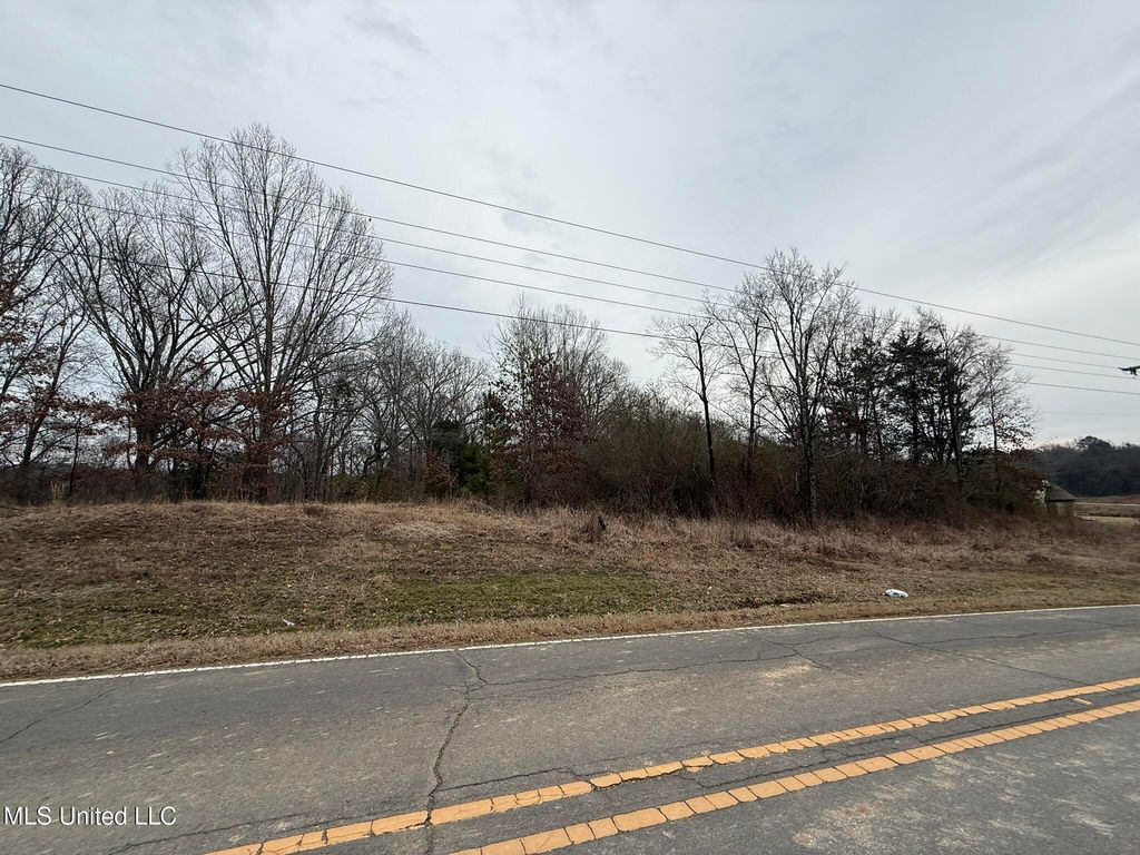 15 Polk Lane, Olive Branch, MS 38654 — photo 4