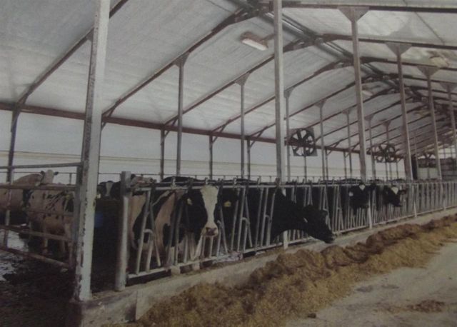 208784 River Run Road, Stratford, WI 54484