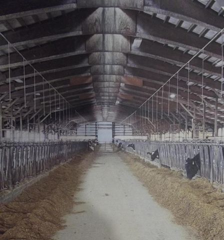 208784 River Run Road, Stratford, WI 54484